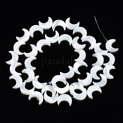 Natural Trochid Shell/Trochus Shell Beads Strands&nbsp;SSHEL-S266-025B-01