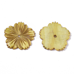 Natural Freshwater Shell Beads&nbsp;SHEL-N026-10