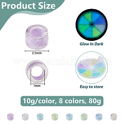 80G 8 Colors Luminous Glow in the Dark Cylinder Seed Beads&nbsp;SEED-DC0001-16A