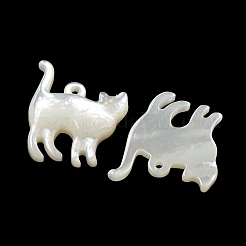 Natural White Shell Pendants&nbsp;SSHEL-N038-05A-01