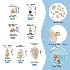 14Pcs 7 Styles Electroplated Natural Mixed Shell Pendants&nbsp;BSHE-TA0001-34A