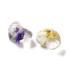 Transparent Resin Beads&nbsp;RESI-B031-02C