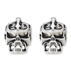 Tibetan Style Alloy Beads&nbsp;TIBEB-N005-091
