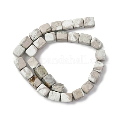 Natural Variscite Beads Strands&nbsp;G-D098-D09