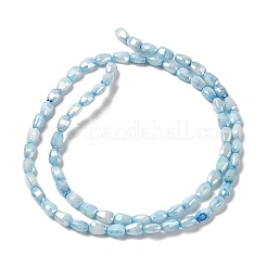 Electroplate Glass Beads Strands&nbsp;GLAA-D013-05C