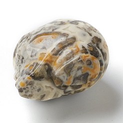 Natural Crazy Agate Home Display Decorations&nbsp;G-H253-B05