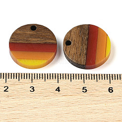 Pride Rainbow Theme Resin & Walnut Wood Pendants&nbsp;WOOD-K012-07A