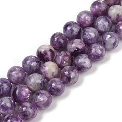 Natural Lepidolite Beads Strands&nbsp;G-U026-A06-10mm