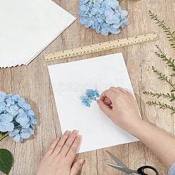 Dried Embossed Paper&nbsp;DIY-WH0622-646B