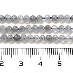 Faceted Round Natural Labradorite Bead Strands&nbsp;G-I156-03-3mm
