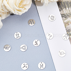 304 Stainless Steel Charms&nbsp;STAS-SC0001-19P