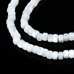 Natural Trochid Shell/Trochus Shell Beads Strands&nbsp;SSHEL-S266-016A-01