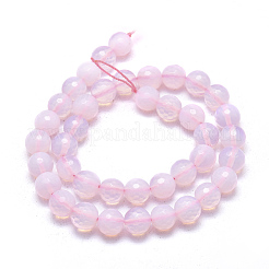 Opalite Beads Strands&nbsp;G-L557-43-10mm