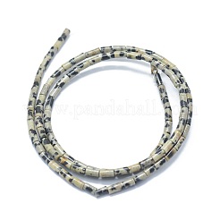 Natural Dalmatian Jasper Beads Strands&nbsp;G-F631-B07