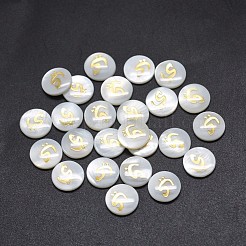 Shell Cabochons&nbsp;SSHEL-E568-A04