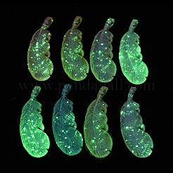 Transparent Acrylic Pendant&nbsp;MACR-D024-38