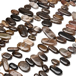 Natural Petrified Wood Beads Strands&nbsp;G-C253-07