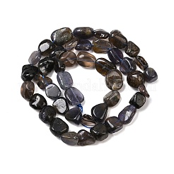 Natural Iolite/Cordierite/Dichroite Beads Strands&nbsp;G-A284-A02-02