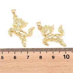 Brass Pendants&nbsp;KK-P353-21G-03