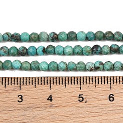 Natural HuBei Turquoise Beads Strands&nbsp;GG-CBA767B-A02-3MM