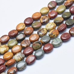 Natural Polychrome Jasper/Picasso Stone/Picasso Jasper Beads Strands&nbsp;G-E444-46B