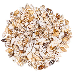 165g Natural Shell Pendants&nbsp;SHEL-PA0001-05