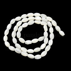 Natural Trochus Shell Beads Strands&nbsp;BSHE-E030-02A