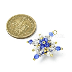 Glass Seed Beaded Tetraptera Pendants&nbsp;PALLOY-MZ00533-01