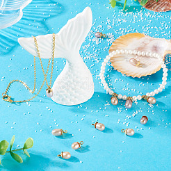 8Pcs Natural Pearl Pendants&nbsp;PALLOY-TAC0180