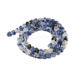Natural Blue Spot Jasper Beads Strands&nbsp;G-M403-A21-02