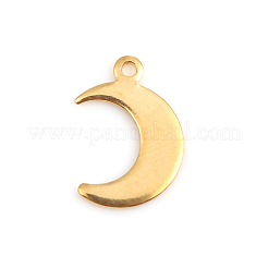 304 Stainless Steel Pendants&nbsp;LS-STAS-I140-05G