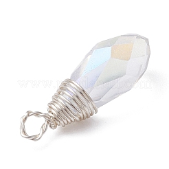 Transparent Glass Pendant&nbsp;PALLOY-JF02259