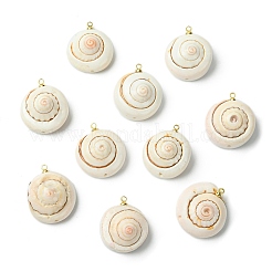 Natural Shiva Eye Shell Pendants&nbsp;KK-C143-55G