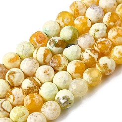 Natural Fire Crackle Agate Bead Strands&nbsp;G-K166-07F-8mm-07