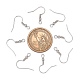 Iron Earring Hooks&nbsp;E135-NF-4