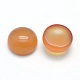 Natural Carnelian Cabochons&nbsp;G-P393-R41-10mm-2