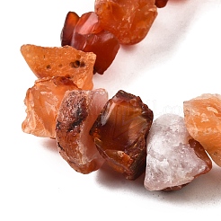 Natural Carnelian Beads Strands&nbsp;G-I283-F18