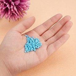 8/0 Round Glass Seed Beads&nbsp;SEED-PH0005-05
