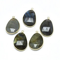Natural Labradorite Pendants&nbsp;G-E526-04A