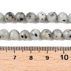 Natural Sesame Jasper/Kiwi Jasper Bead Strands&nbsp;G-R345-6mm-36