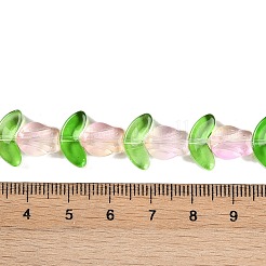 Transparent Glass Bead Strands&nbsp;GLAA-K070-02B