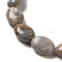 Natural Crazy Lace Agate Beads Strands&nbsp;G-G102-B01-01