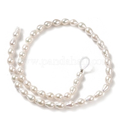 Natural Cultured Freshwater Pearl Beads Strands&nbsp;PEAR-E016-012
