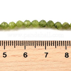 Natural Canadian Jade Beads Strands&nbsp;G-G259-D02-4mm