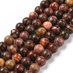 Natural Leopard Skin Jasper Beads Strands&nbsp;G-J358-05-8mm
