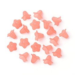 Transparent Acrylic Beads&nbsp;FACR-WH0004-01