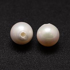 Shell Pearl Beads&nbsp;BSHE-L031-01-8mm