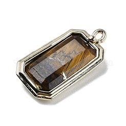 Natural Tiger EyePendants&nbsp;G-U019-04G-06