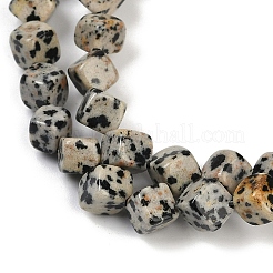 Natural Dalmatian Jasper Beads Strands&nbsp;G-A257-A17-01