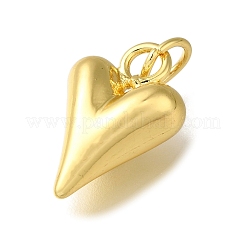 Rack Plating Brass Pendants&nbsp;KK-K373-09A-G